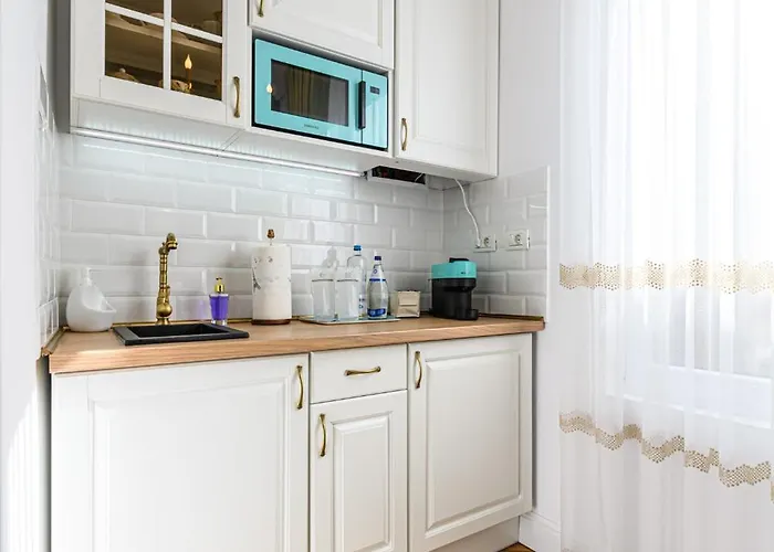 Duccio Haas 公寓 *