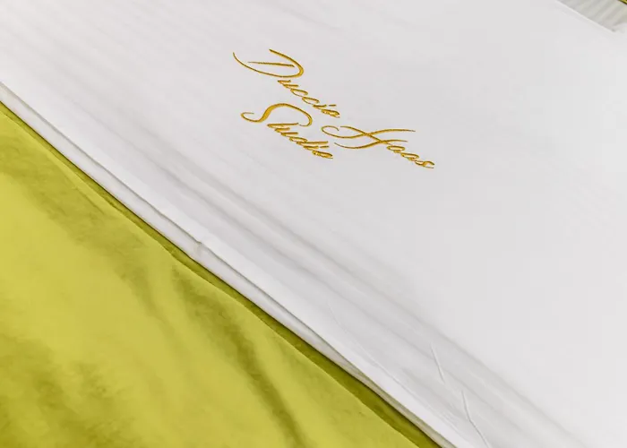 Duccio Haas 布拉索夫